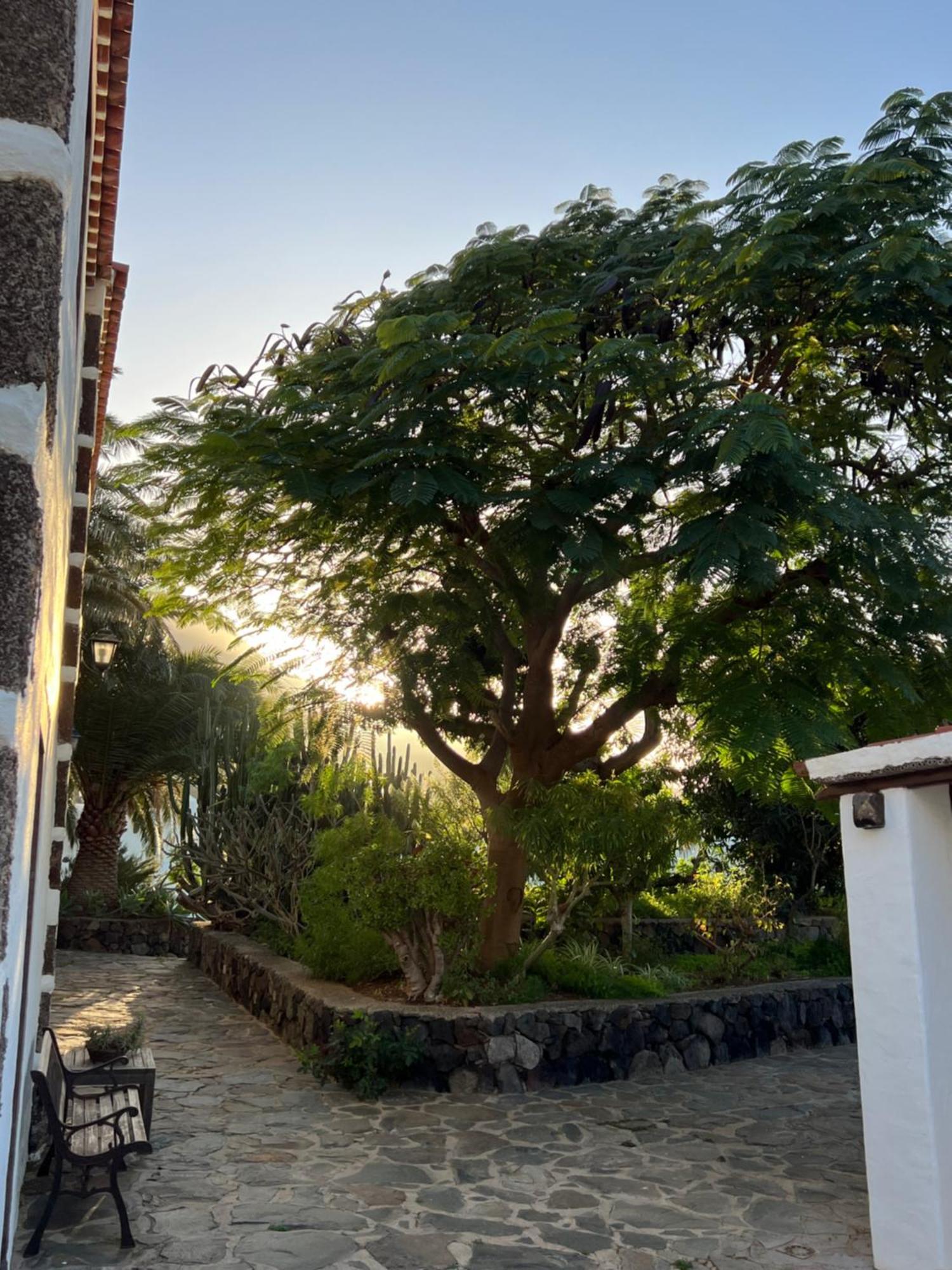 Finca Exclusiv La Mareta Agaete  Exteriör bild