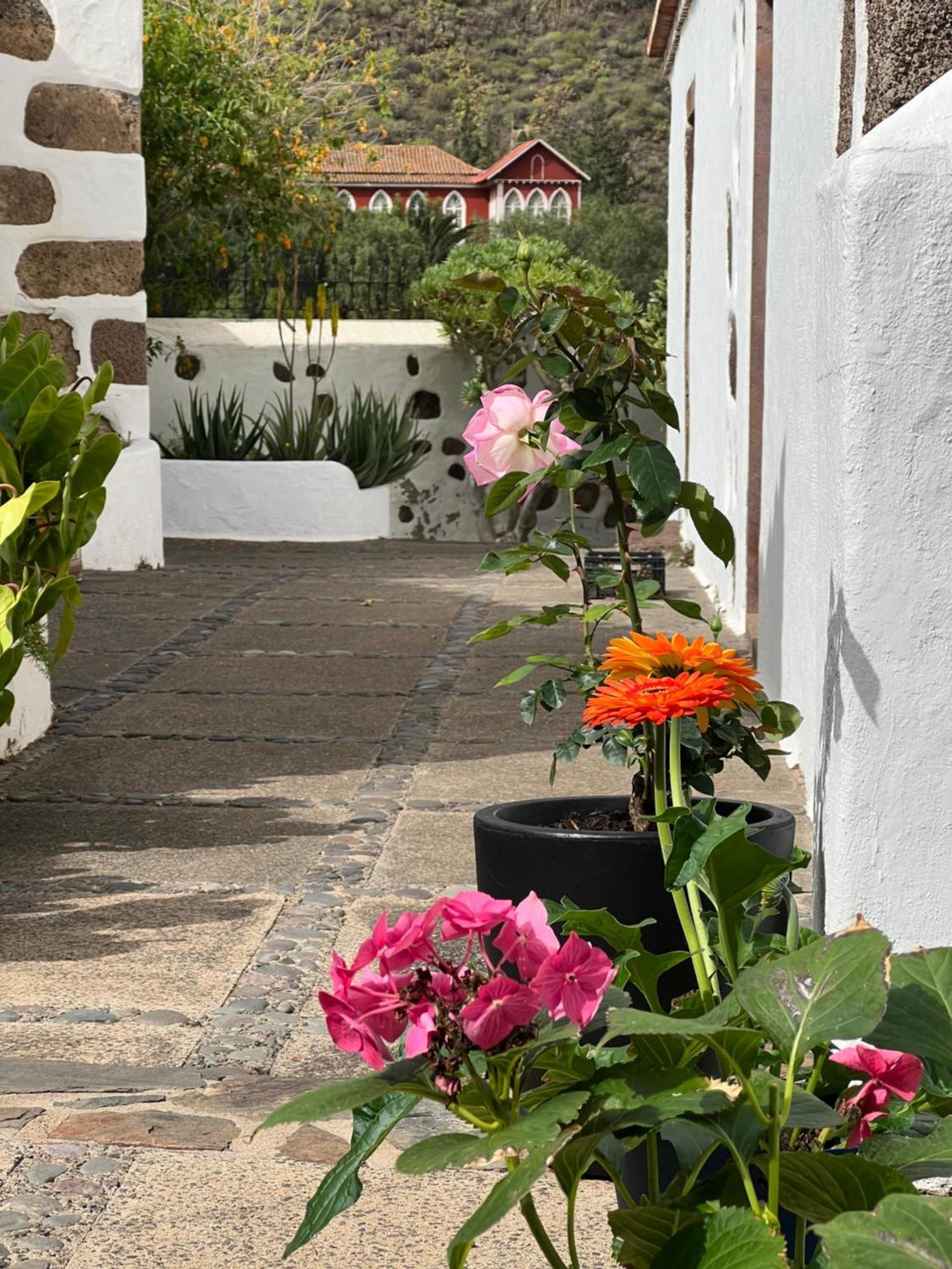 Finca Exclusiv La Mareta Agaete  Exteriör bild