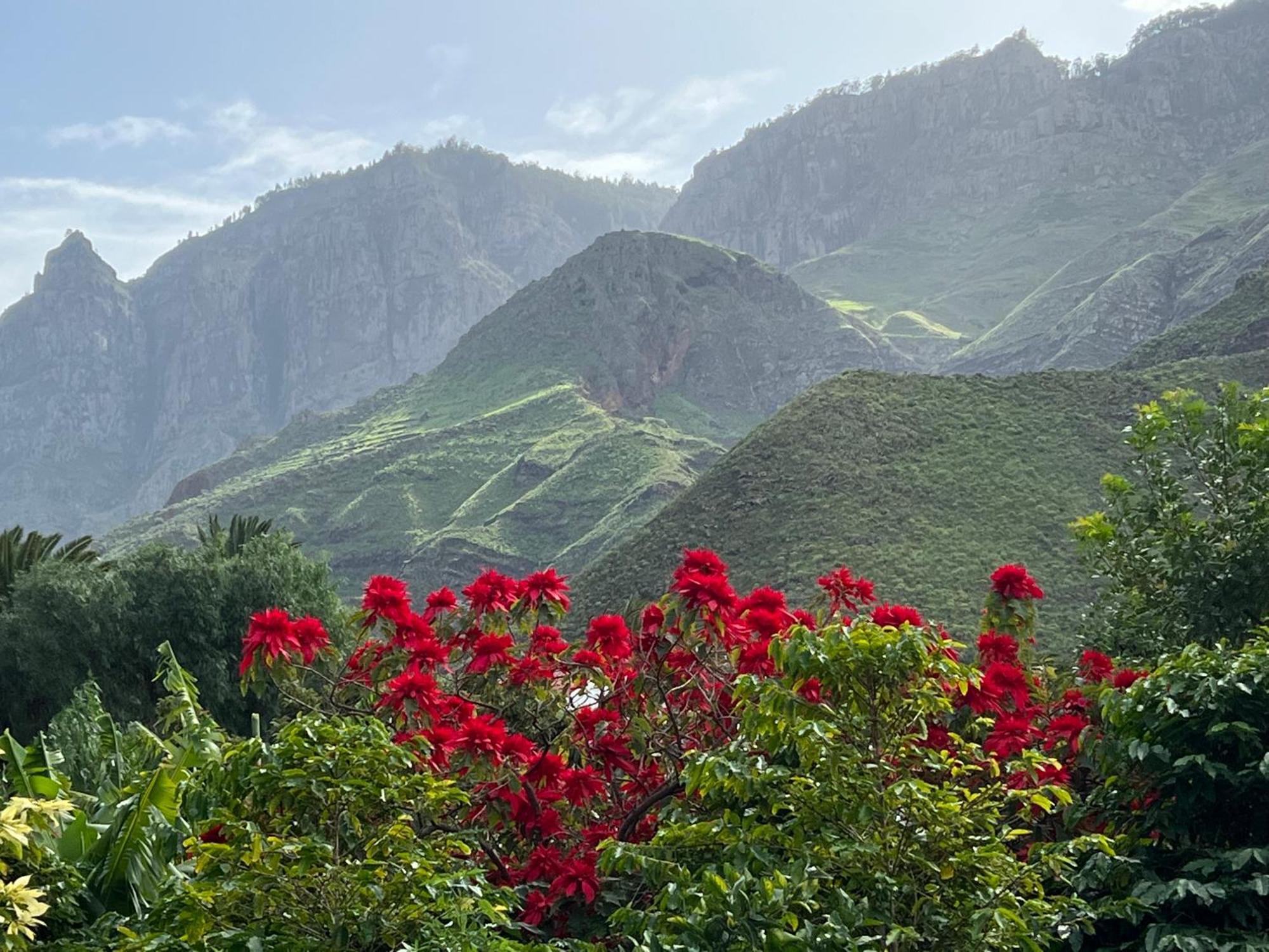 Finca Exclusiv La Mareta Agaete  Exteriör bild